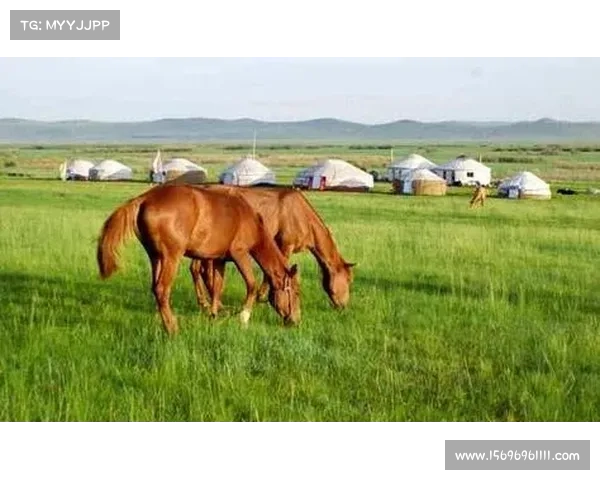 消消乐186关攻略