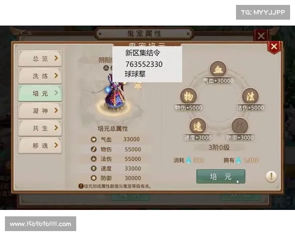 问道手游天星石